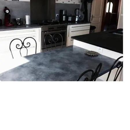 Villa Grande Maison Dans Les Pyrenees Surba